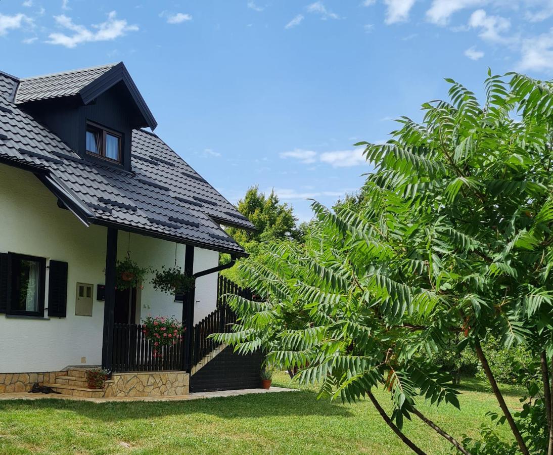 Apartman Poznanovic Apartment Rakovica Exterior photo